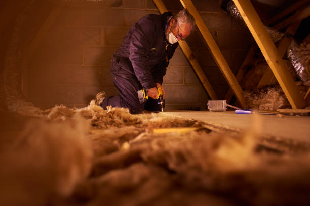 Best Eco-Friendly or Green Insulation Solutions  in Haw River, NC